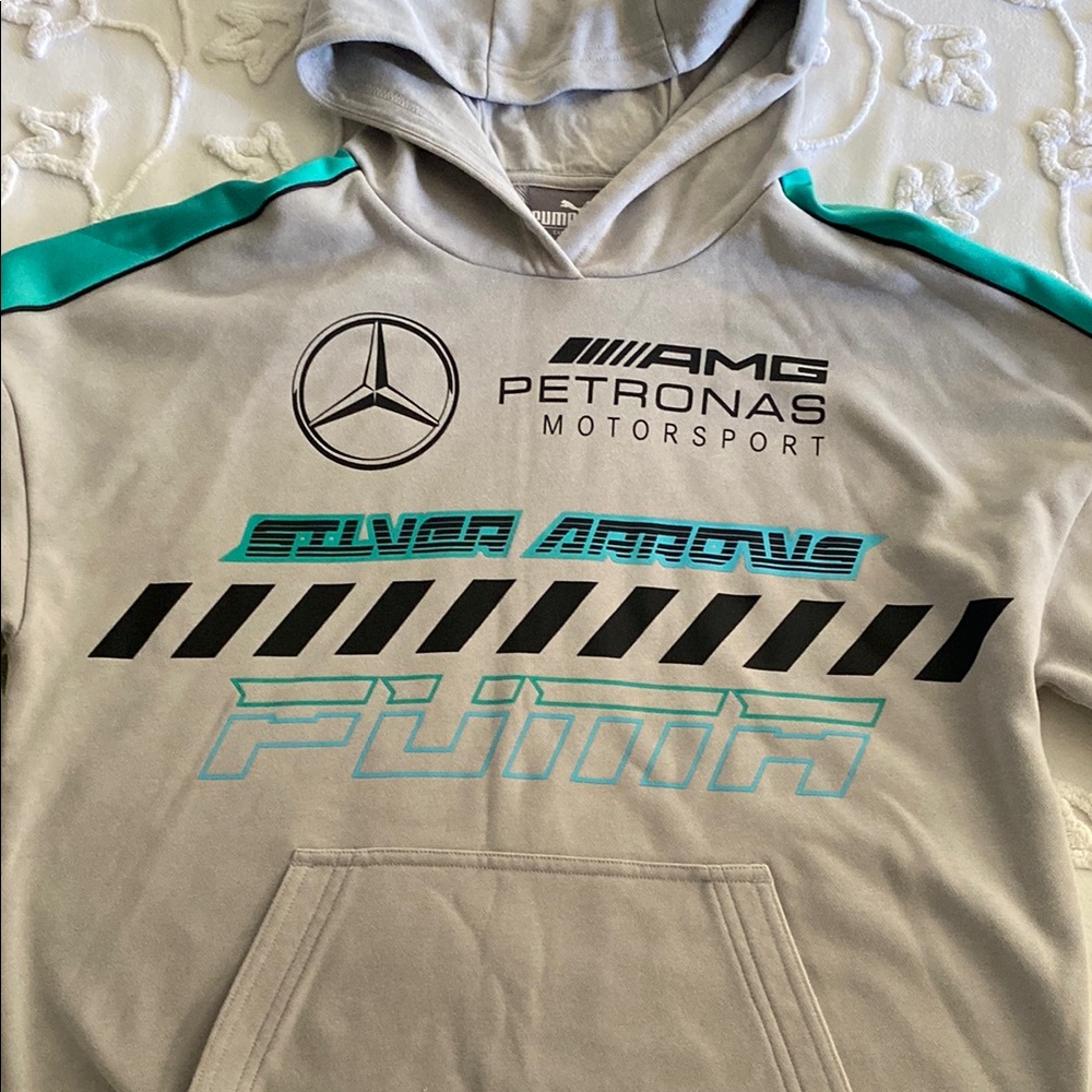 Mercedes Formula 1 Gray Motorsport Hoodie